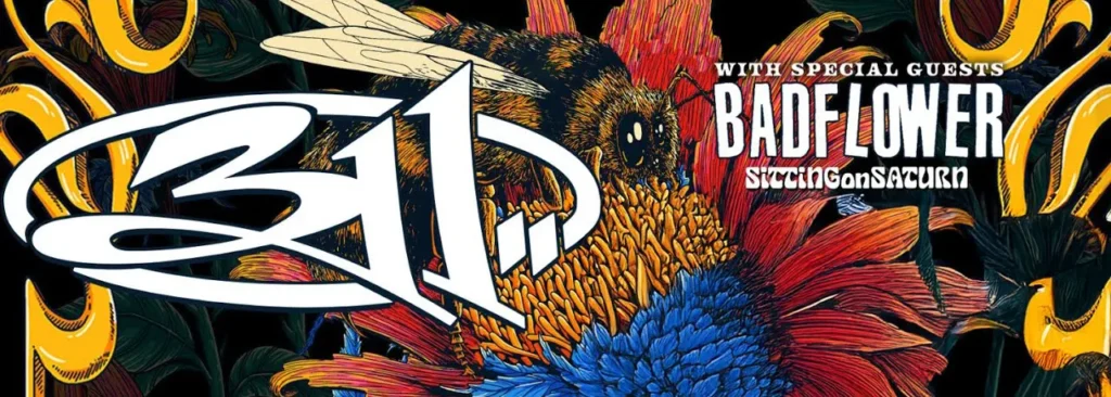 311 at Marymoor Park